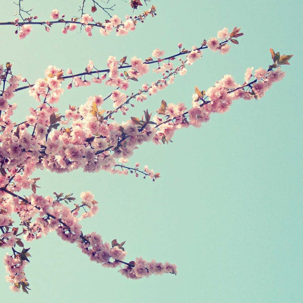 Beautiful Spring art print by Vicki Dvorak for $57.95 CAD