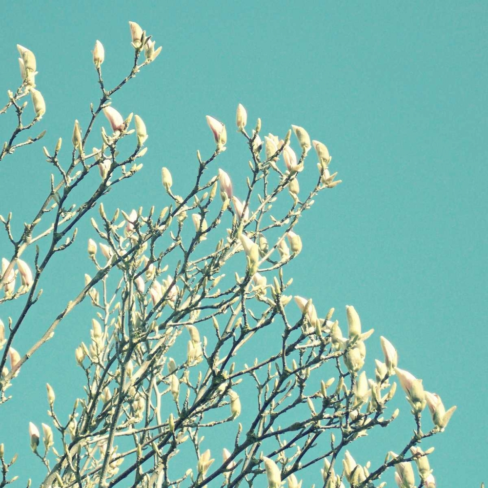 New Growth art print by Vicki Dvorak for $57.95 CAD