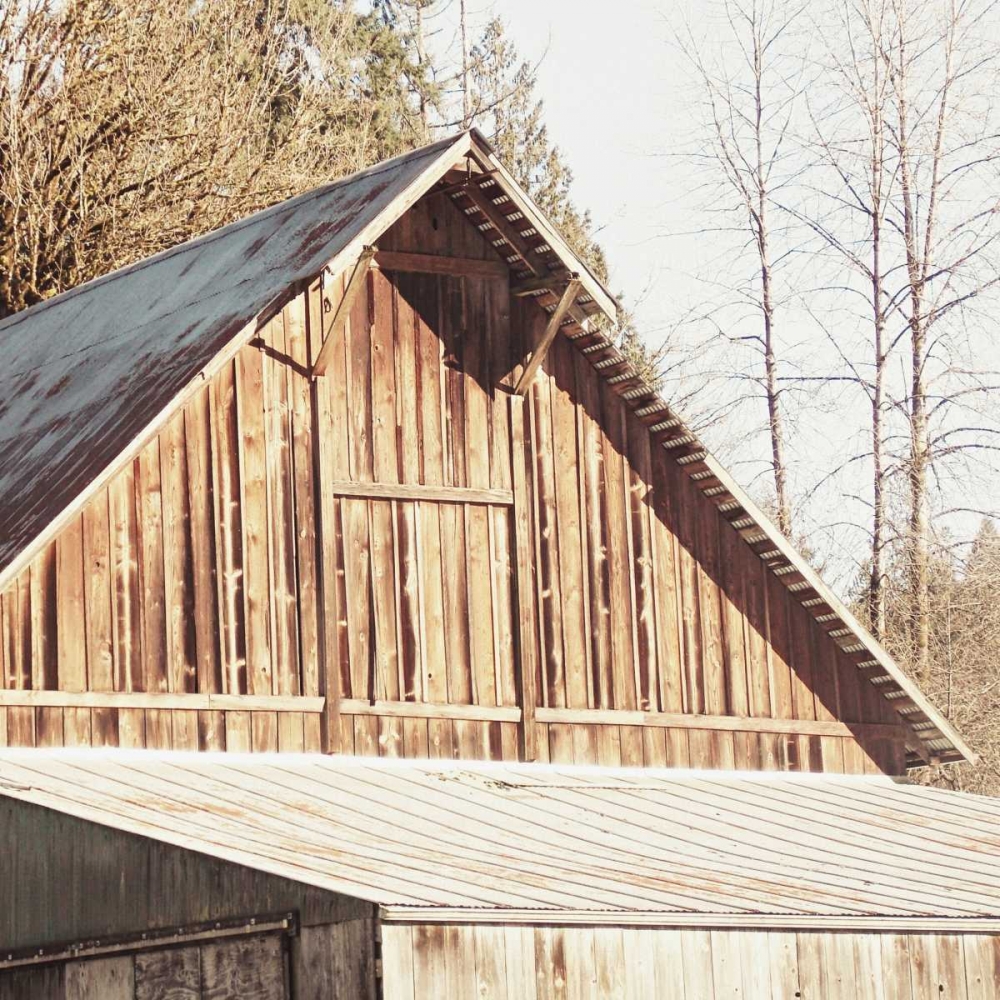Weathered art print by Vicki Dvorak for $57.95 CAD