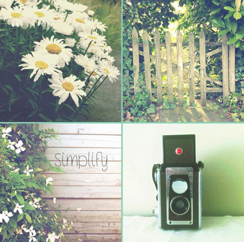 Camera And Daisies SIMPLIFY art print by Vicki Dvorak for $57.95 CAD