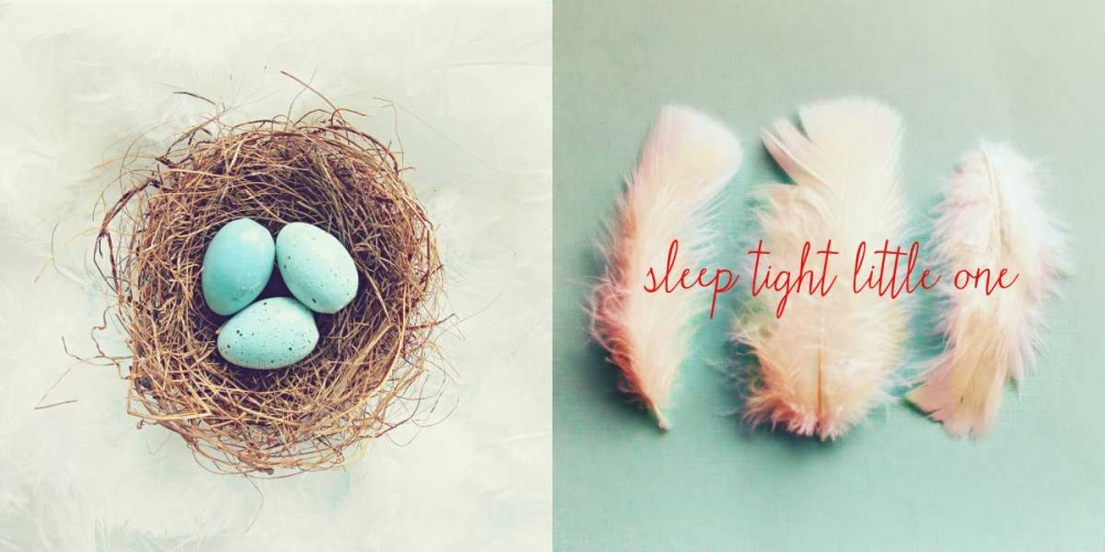 Vintage Nest of Feathers art print by Vicki Dvorak for $57.95 CAD