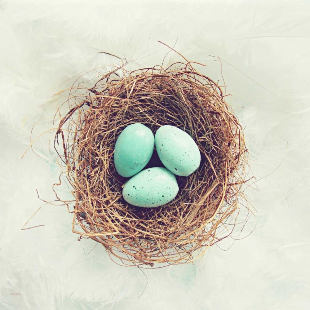 Vintage Nest of Feathers art print by Vicki Dvorak for $57.95 CAD