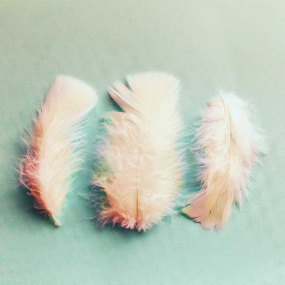 Vintage Feathers art print by Vicki Dvorak for $57.95 CAD