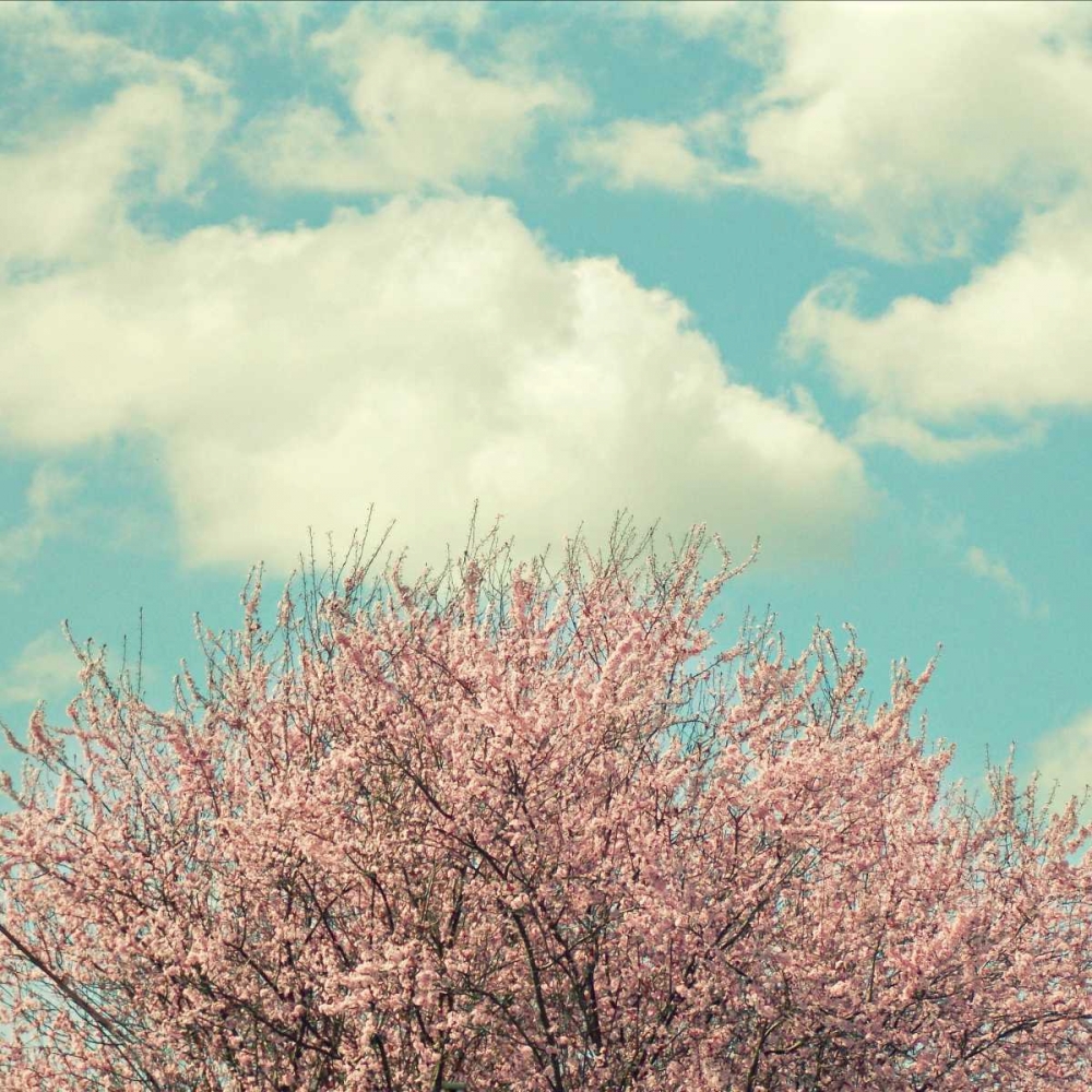 Vintage Cherry Blossoms art print by Vicki Dvorak for $57.95 CAD