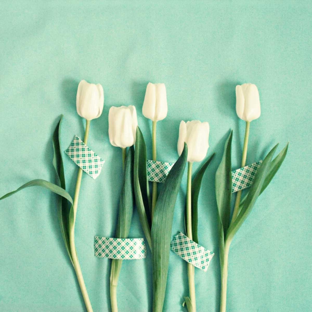 White Tulips Taped art print by Vicki Dvorak for $57.95 CAD