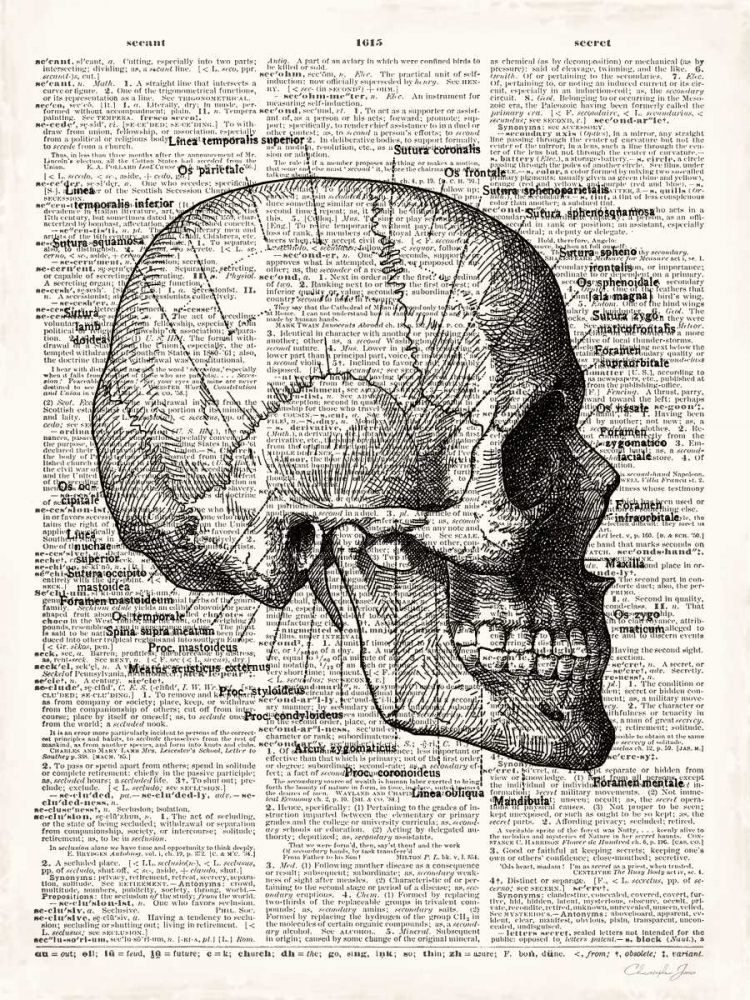 Vintage Anatomy Skull art print by Christopher James for $57.95 CAD