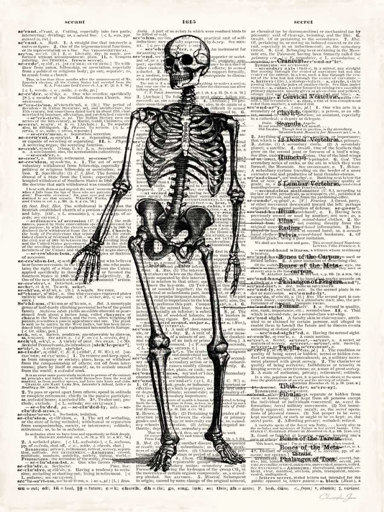 Vintage Anatomy Skeleton art print by Christopher James for $57.95 CAD
