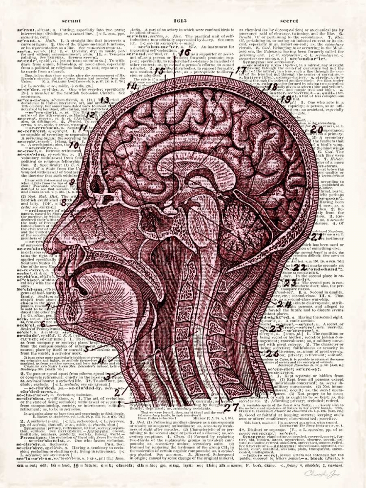 Vintage Anatomy Brain art print by Christopher James for $57.95 CAD