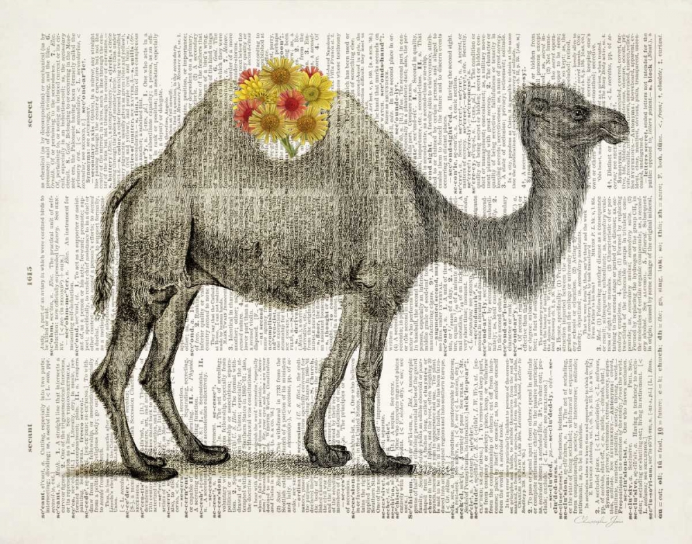 Flower Back Camel art print by Christopher James for $57.95 CAD