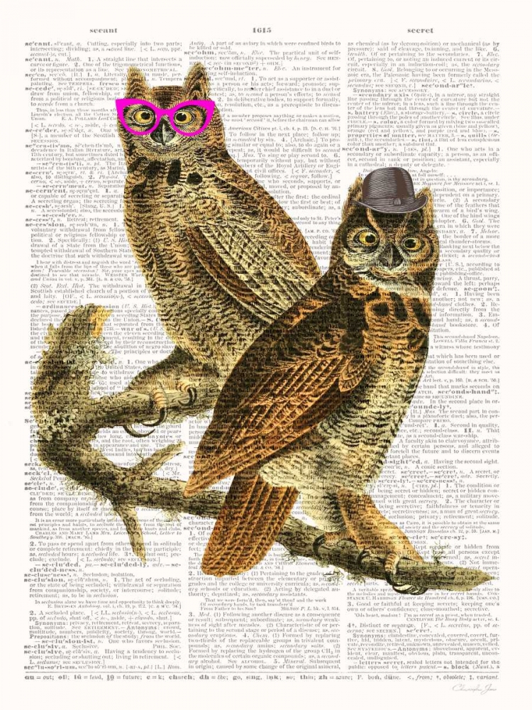 Whoo Are You Looking At ? art print by Christopher James for $57.95 CAD