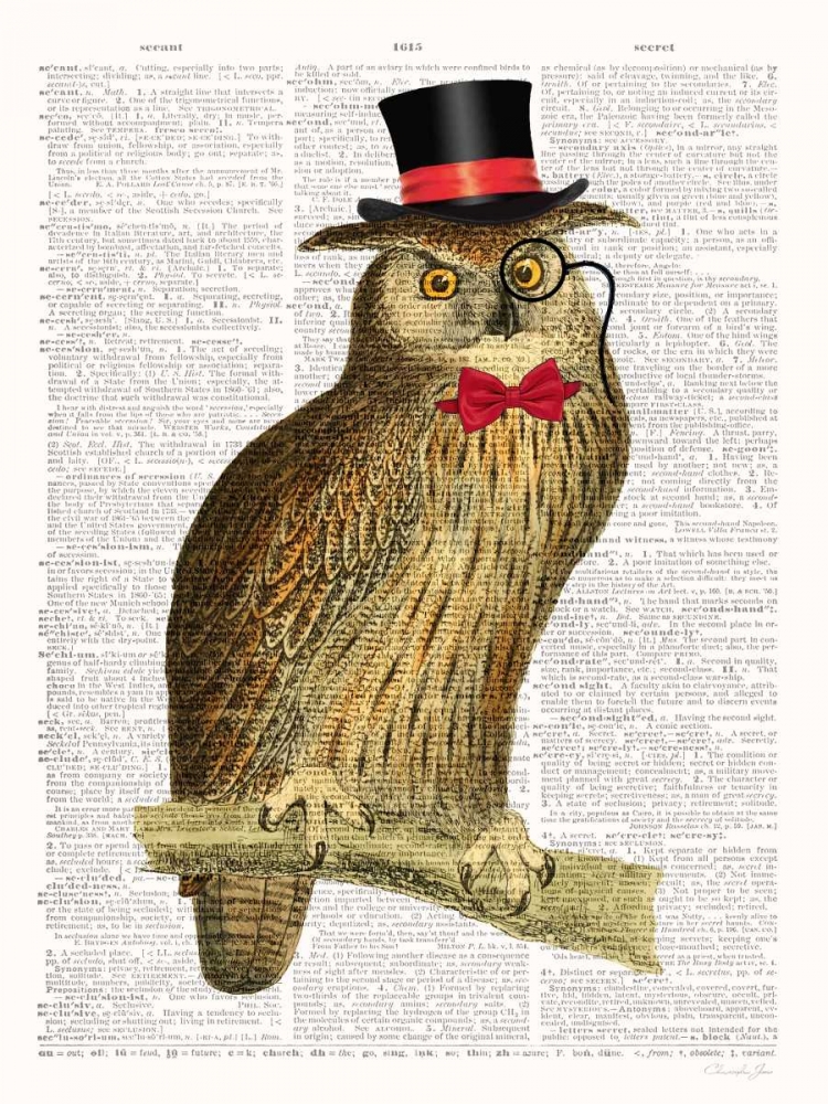 A Dapper Bird art print by Christopher James for $57.95 CAD