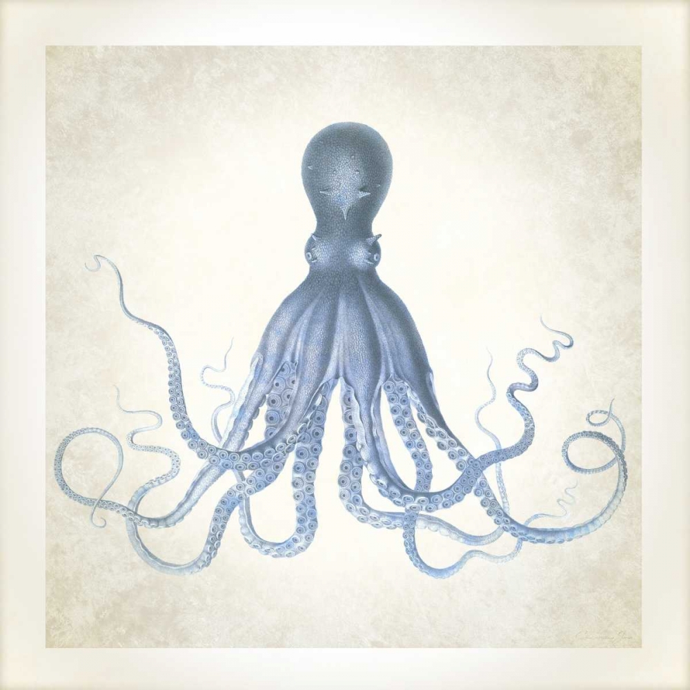 Sea Life, Octopus art print by Christopher James for $57.95 CAD