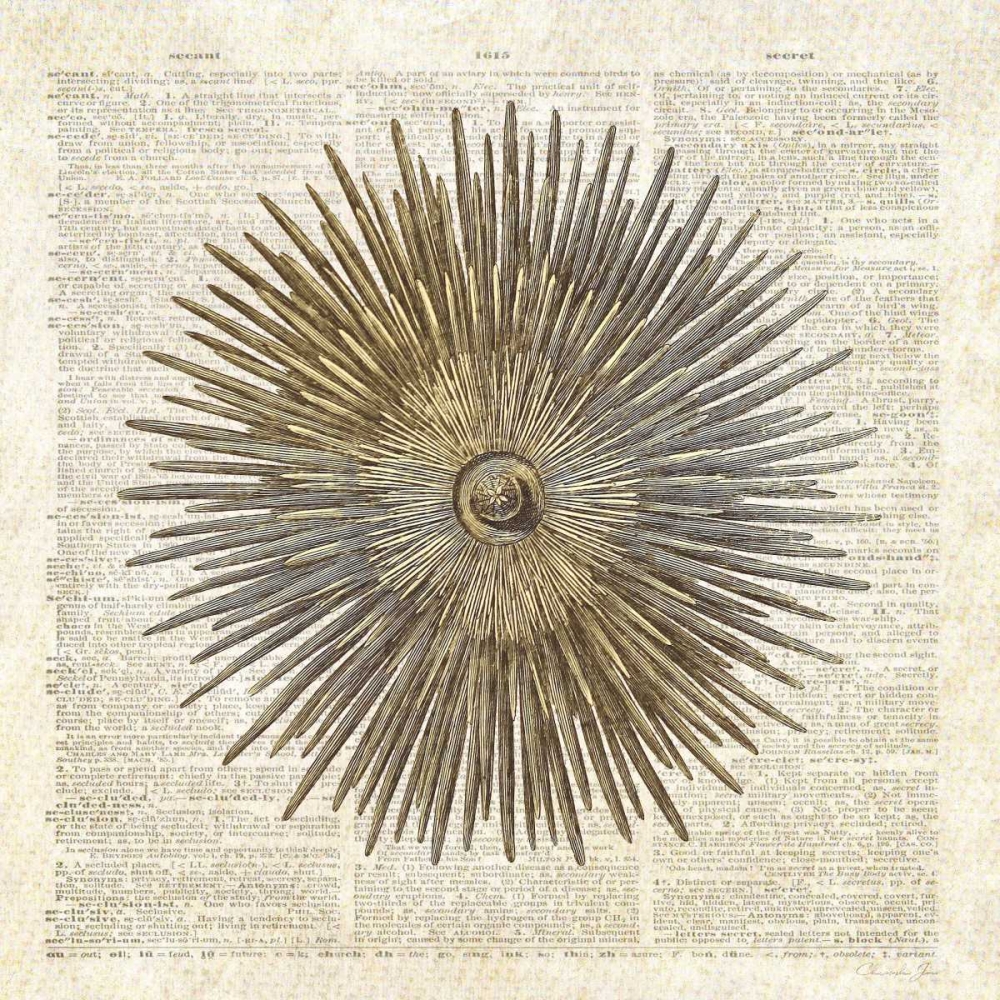 Sea Urchin Pages art print by Christopher James for $57.95 CAD