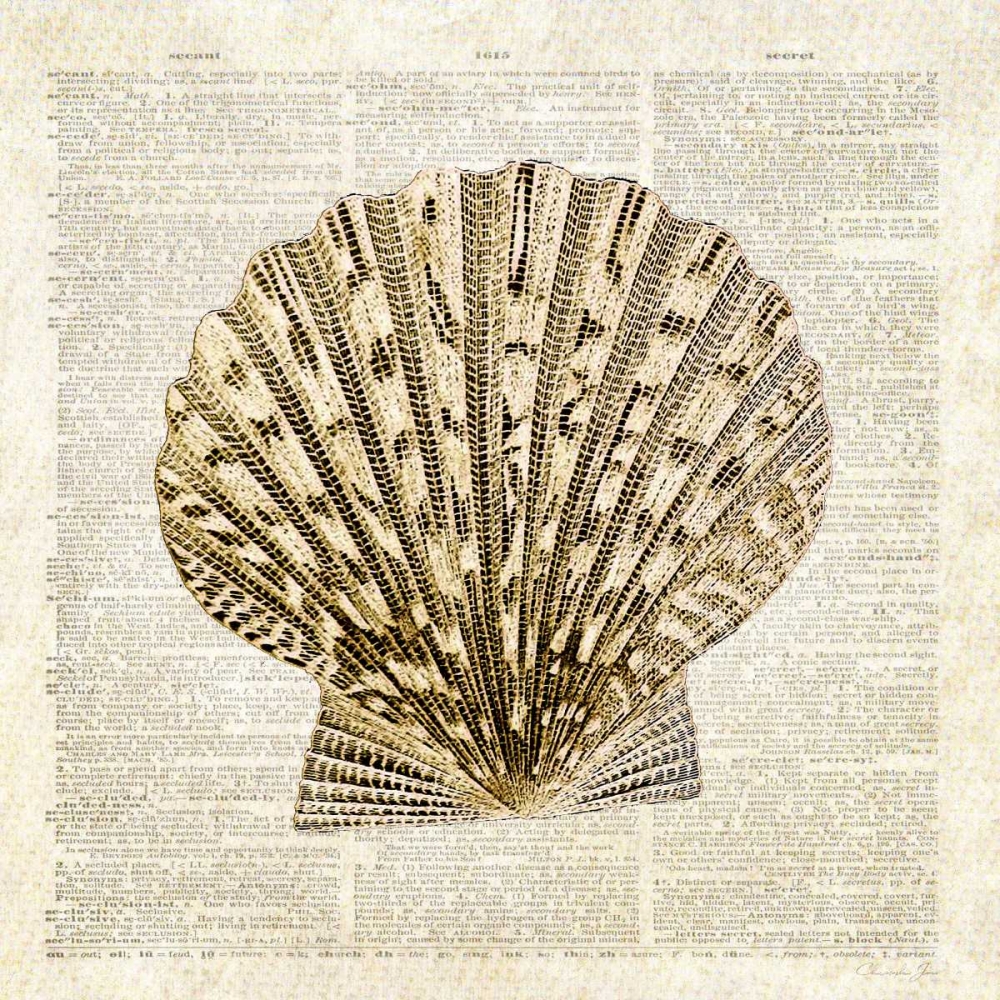 Scallop Shell Pages art print by Christopher James for $57.95 CAD