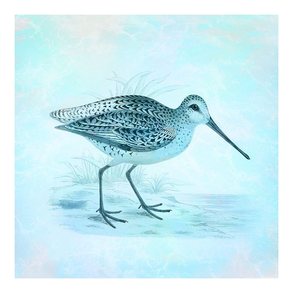 At The Seashore 1 art print by Christopher James for $57.95 CAD