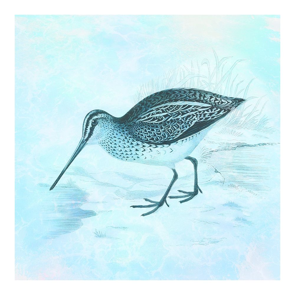 At The Seashore 2 art print by Christopher James for $57.95 CAD