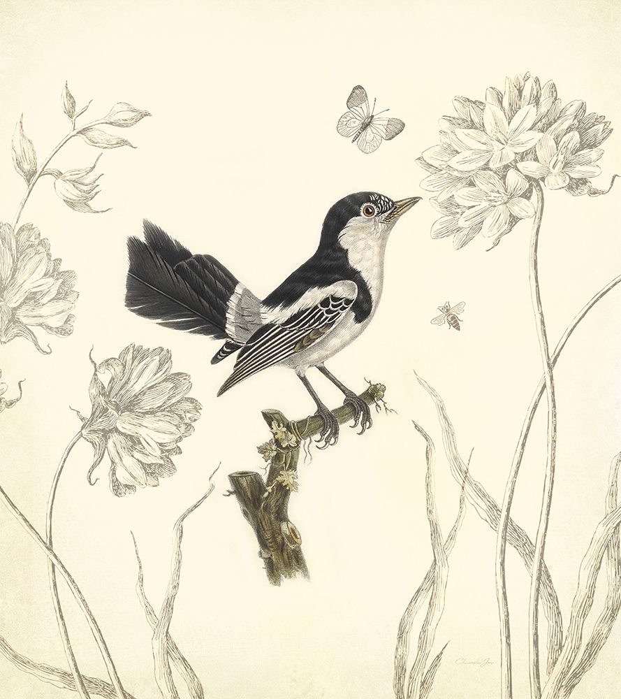 Botanical Song Bird 1 art print by Christopher James for $57.95 CAD