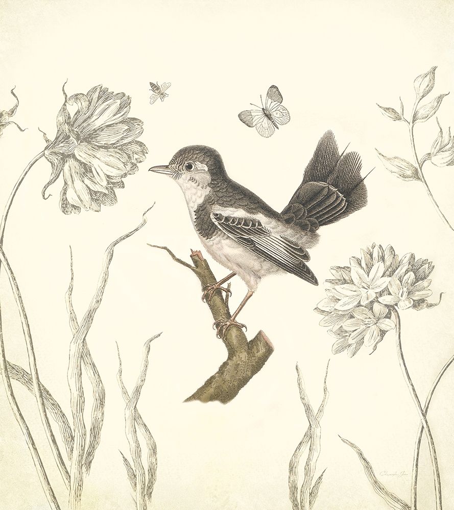 Botanical Song Bird 2 art print by Christopher James for $57.95 CAD
