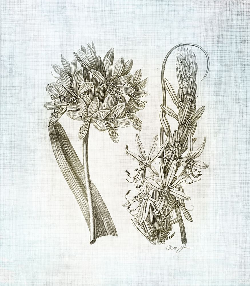 Farmhouse Botanical 1 art print by Christopher James for $57.95 CAD