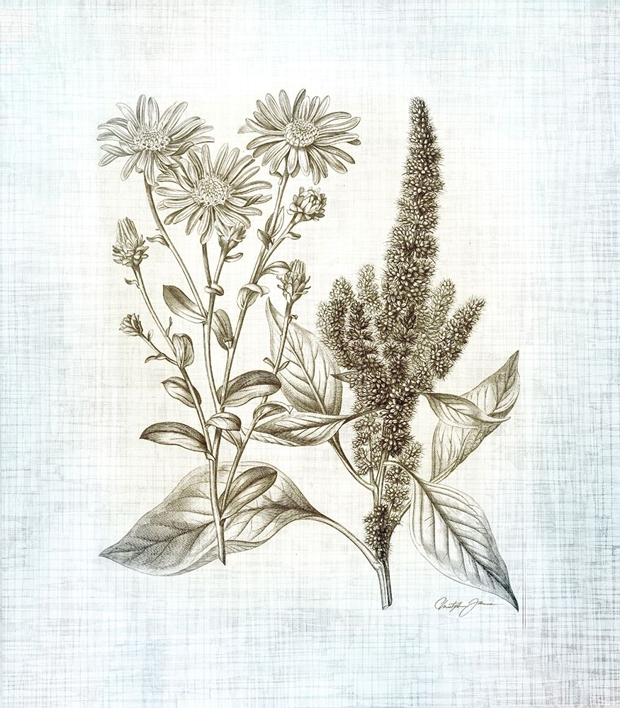 Farmhouse Botanical 2 art print by Christopher James for $57.95 CAD