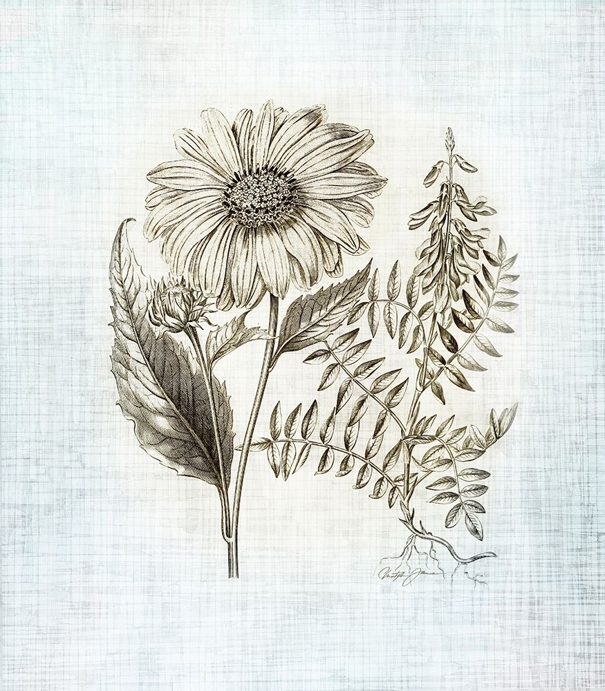 Farmhouse Botanical 3 art print by Christopher James for $57.95 CAD
