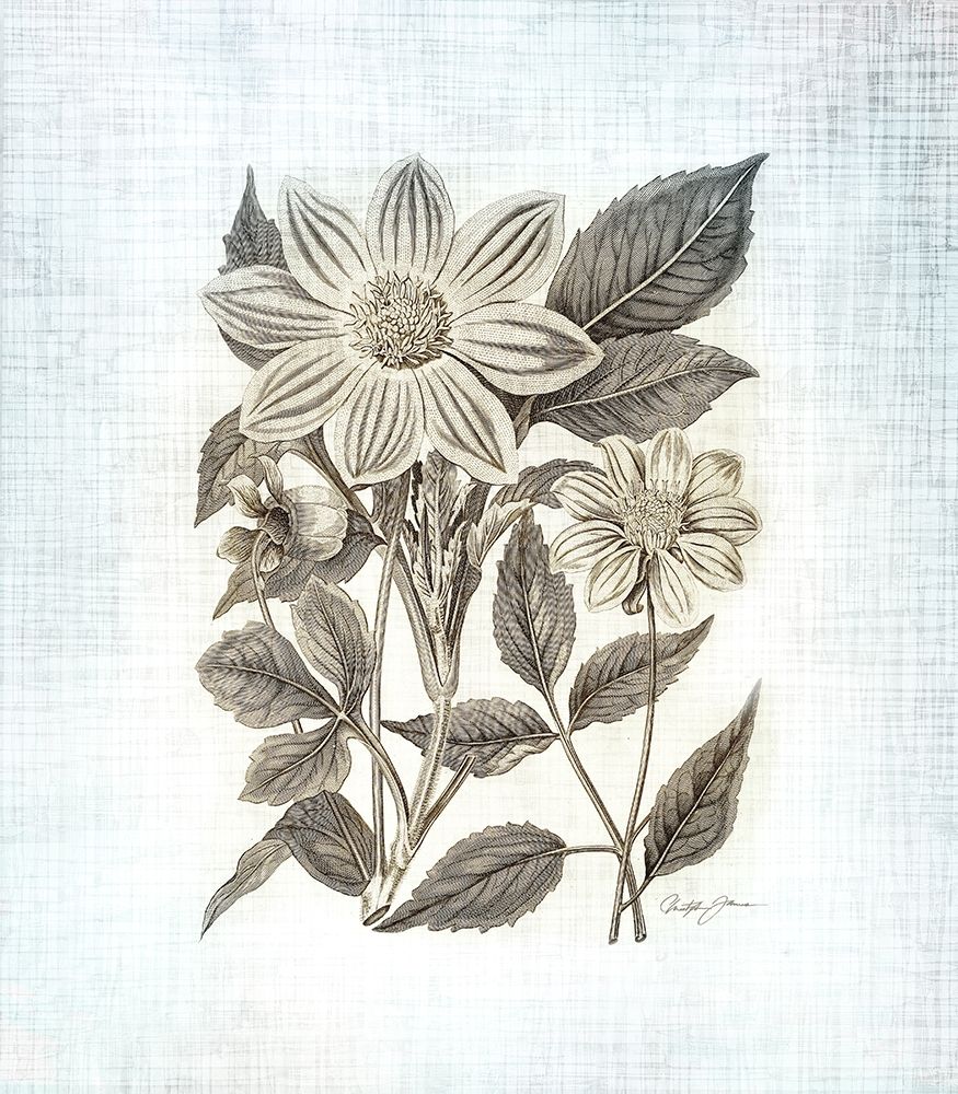 Farmhouse Botanical 4 art print by Christopher James for $57.95 CAD