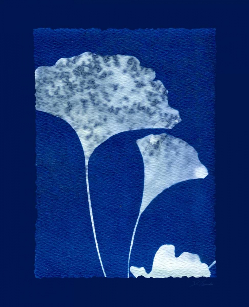 Cyanotype Ginko art print by Dan Zamudio for $57.95 CAD