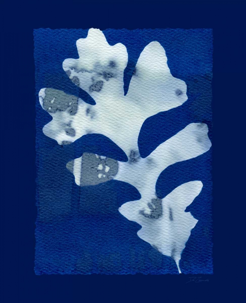 Cyanotype Oak art print by Dan Zamudio for $57.95 CAD