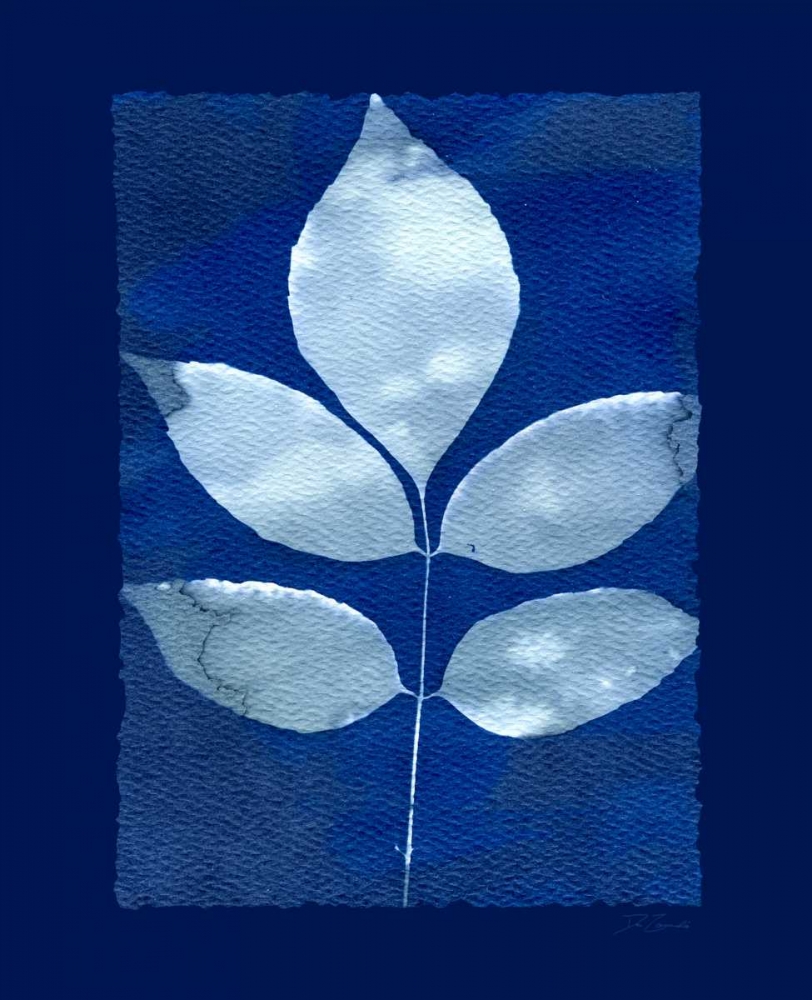 Cyanotype Birch art print by Dan Zamudio for $57.95 CAD