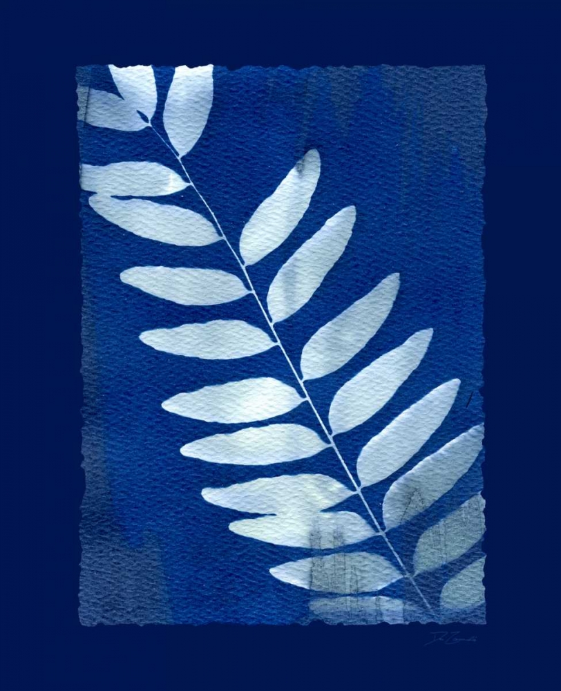 Cyanotype Fern art print by Dan Zamudio for $57.95 CAD