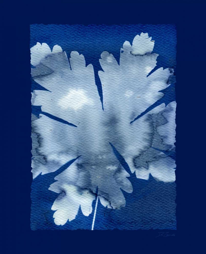 Cyanotype Leaf art print by Dan Zamudio for $57.95 CAD