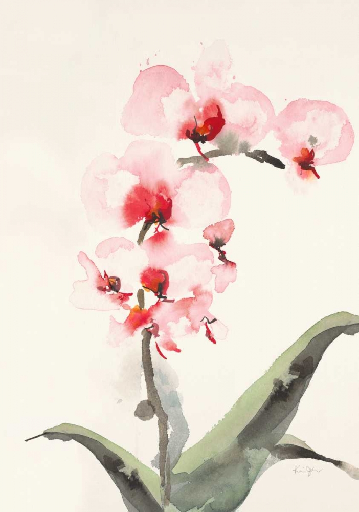Morning Orchid 2 art print by Karen Johannesson for $57.95 CAD