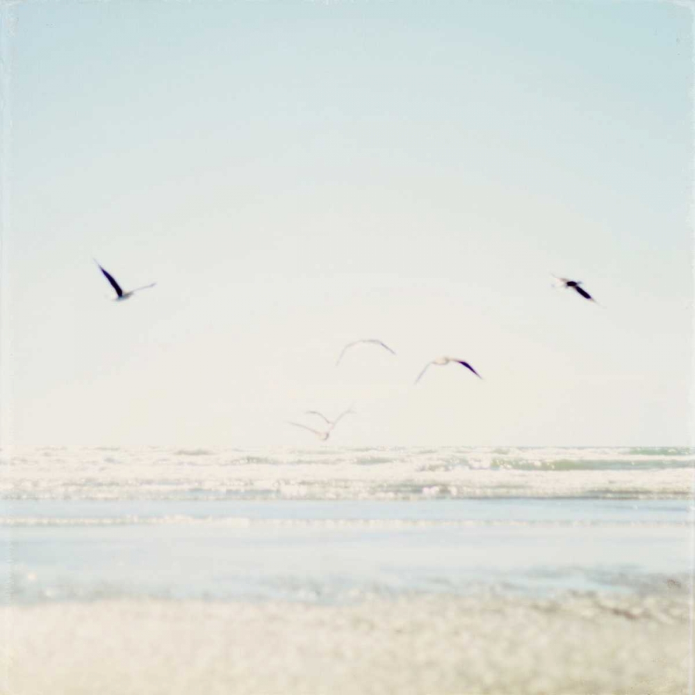 Faded Flight art print by Susannah Tucker Photography for $57.95 CAD
