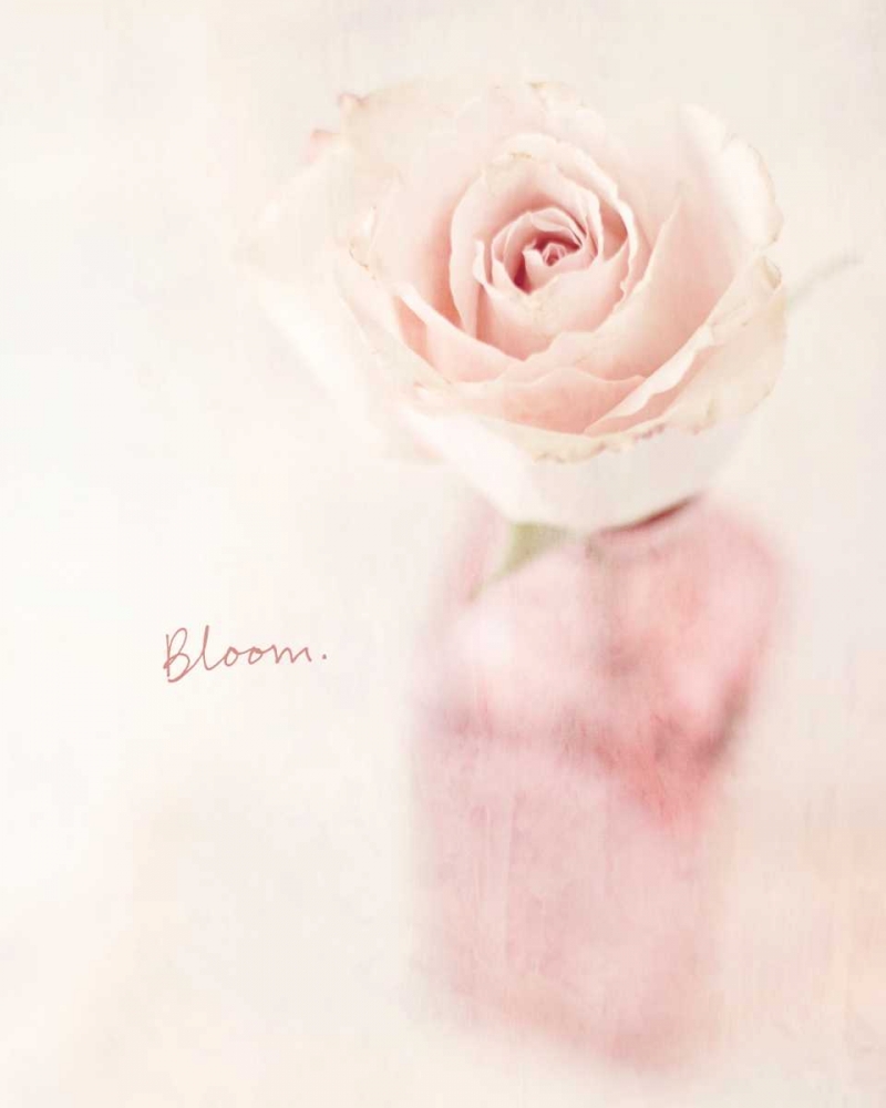 Quiet Floral Setting 2 art print by Susannah Tucker Photography for $57.95 CAD