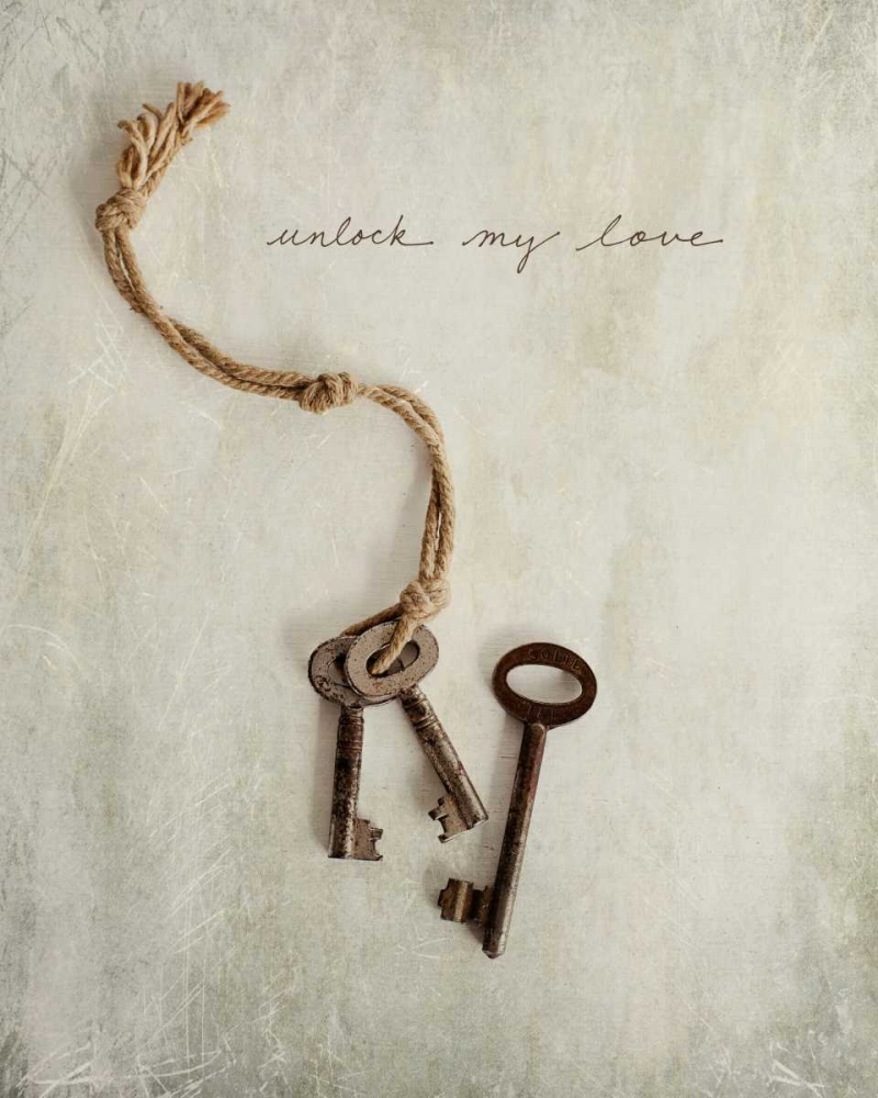 Unlock My Love art print by Susannah Tucker Photography for $57.95 CAD