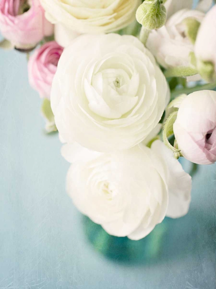 Still Beauty in Pastel 1 art print by Susannah Tucker Photography for $57.95 CAD