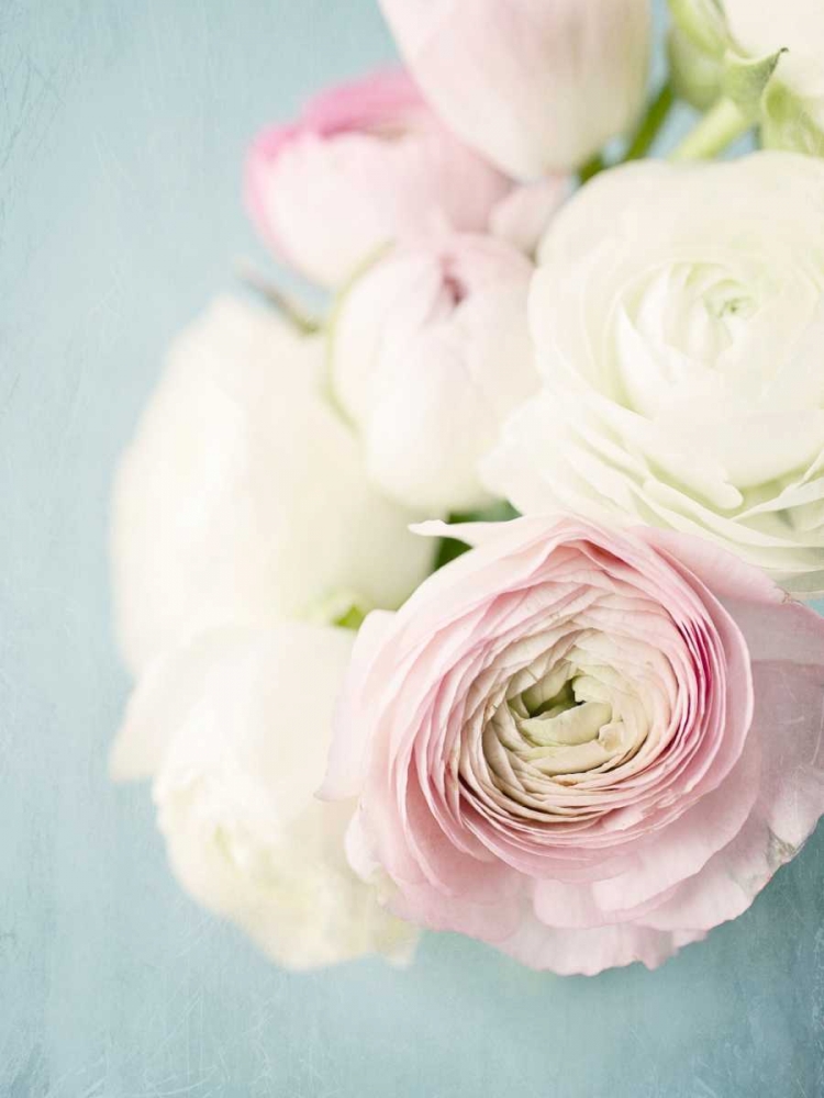 Still Beauty in Pastel 2 art print by Susannah Tucker Photography for $57.95 CAD