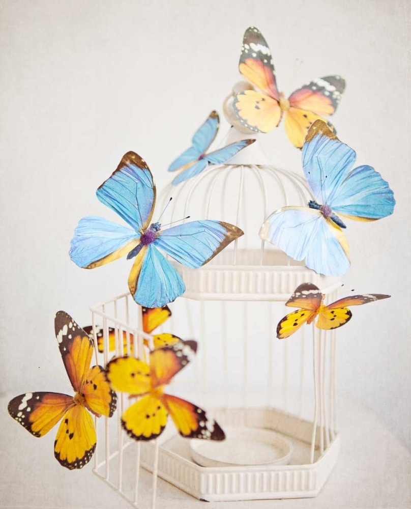 Happy Daydream 2 art print by Susannah Tucker Photography for $57.95 CAD