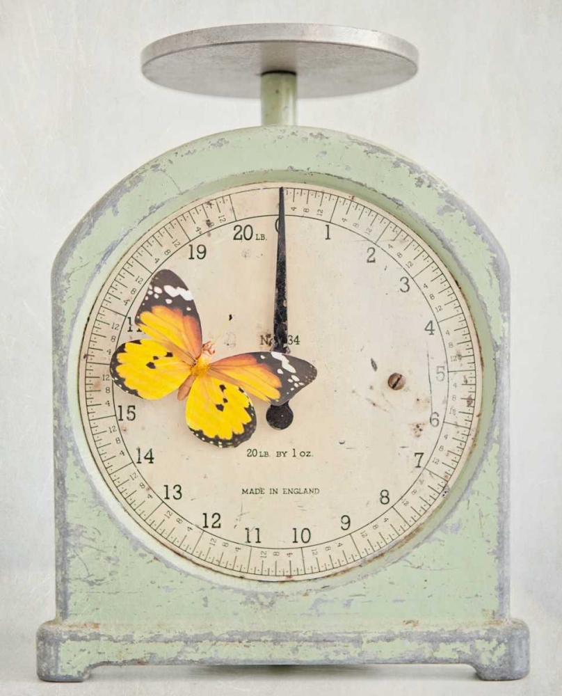 Happy Daydream 4 art print by Susannah Tucker Photography for $57.95 CAD