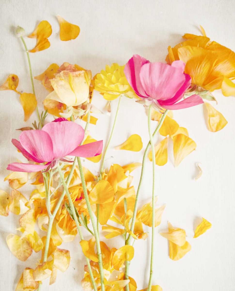 Happy Daydream 5 art print by Susannah Tucker Photography for $57.95 CAD