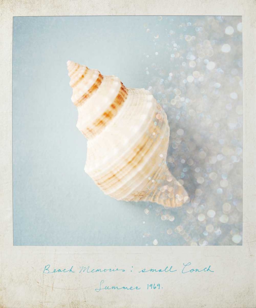 Beach Memories Small Conch art print by Susannah Tucker Photography for $57.95 CAD