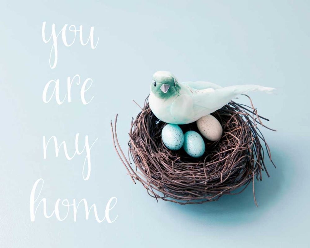 You Are My Home Love Birds art print by Susannah Tucker Photography for $57.95 CAD
