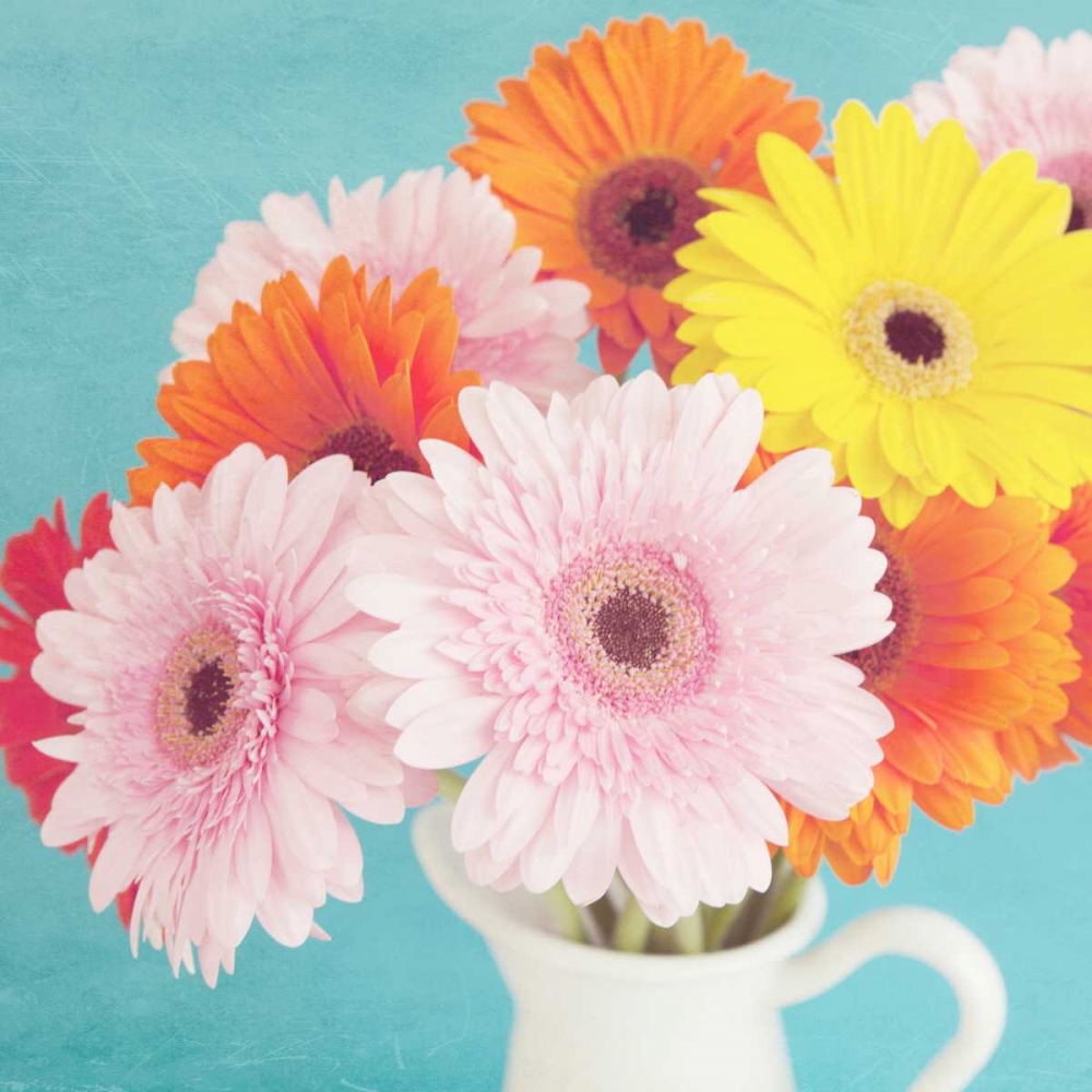 Cheerful Daisies art print by Susannah Tucker Photography for $57.95 CAD