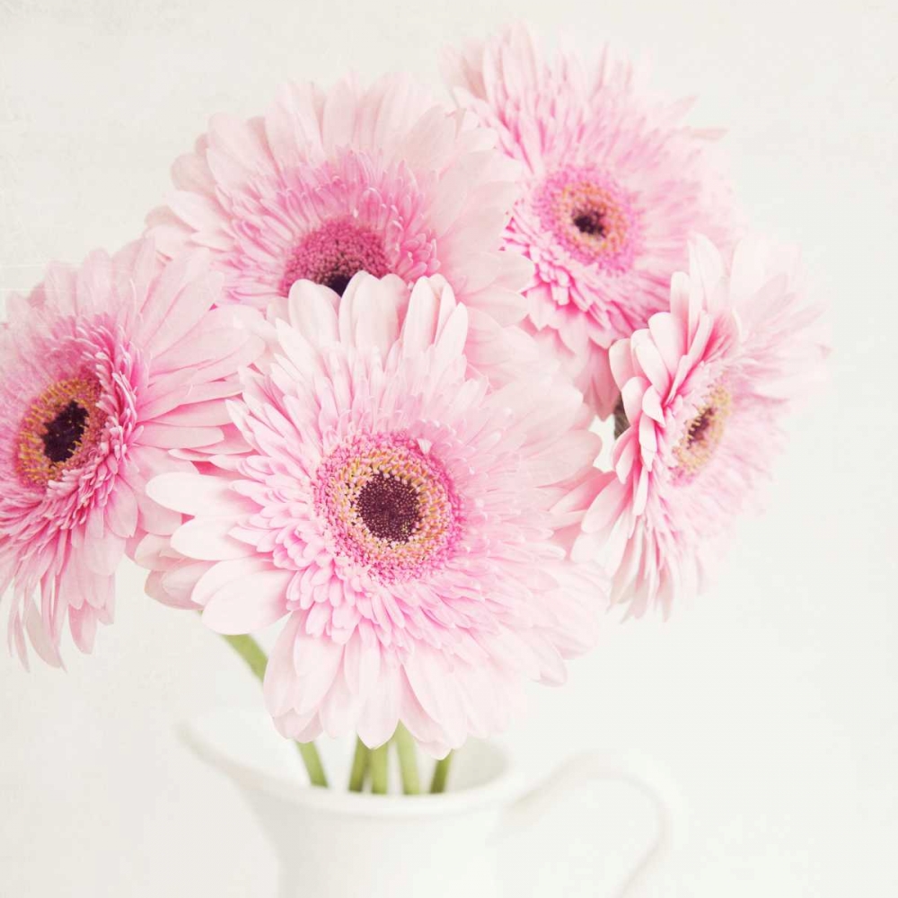 Pretty in Pink art print by Susannah Tucker Photography for $57.95 CAD