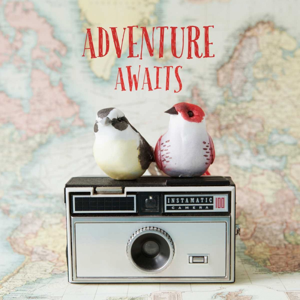 Adventure Awaits art print by Susannah Tucker Photography for $57.95 CAD