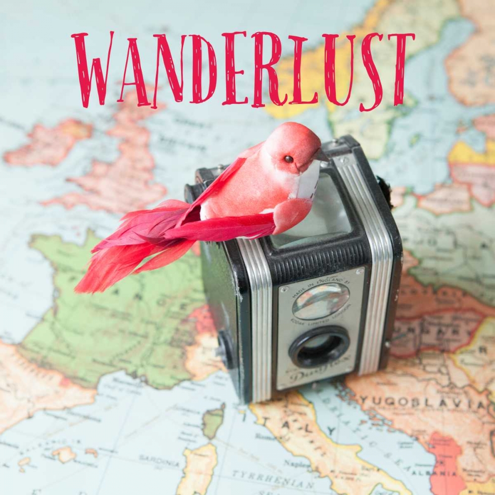 Wanderlust art print by Susannah Tucker Photography for $57.95 CAD