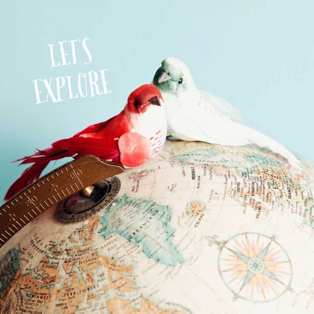 Lets Explore art print by Susannah Tucker Photography for $57.95 CAD