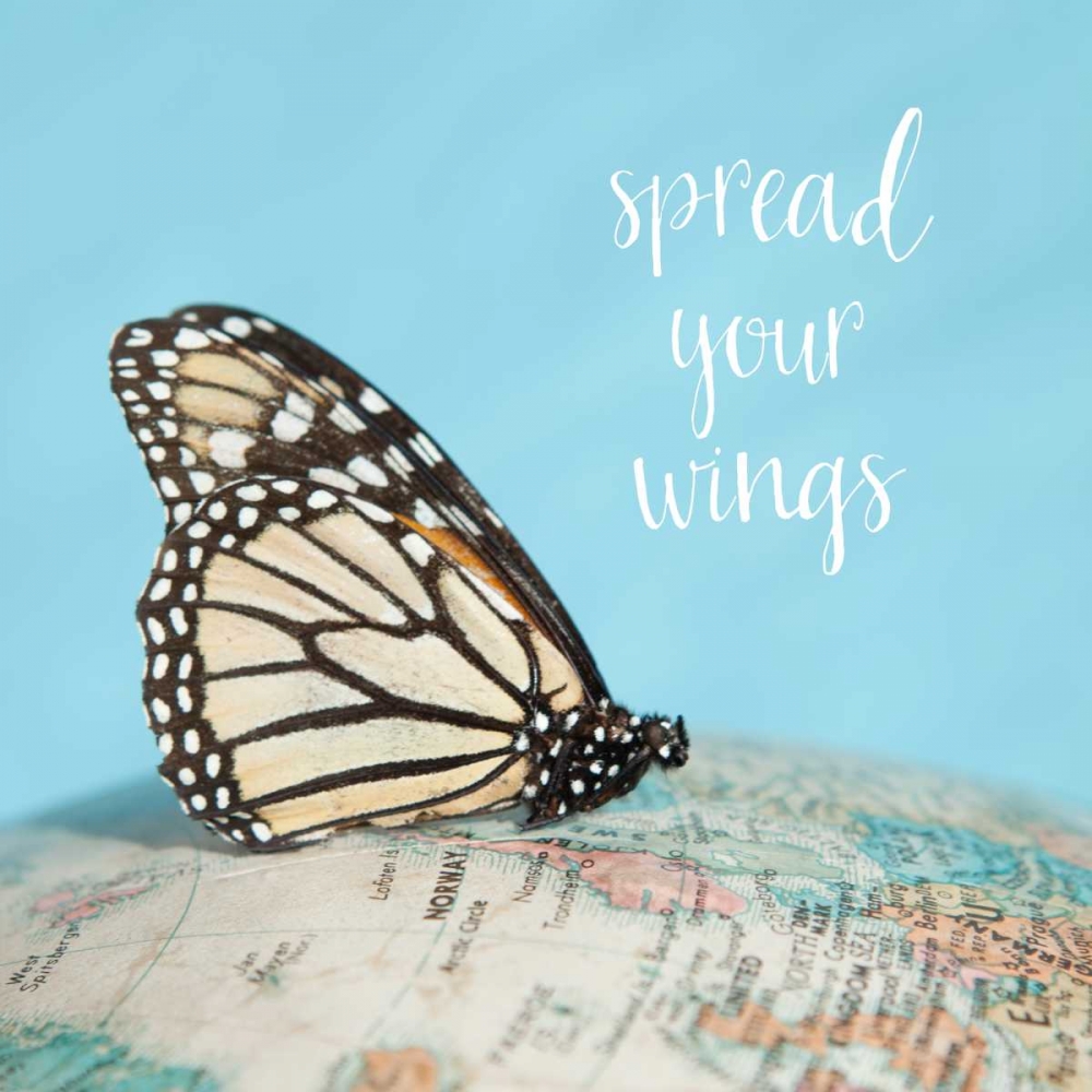 Spread Your Wings art print by Susannah Tucker Photography for $57.95 CAD
