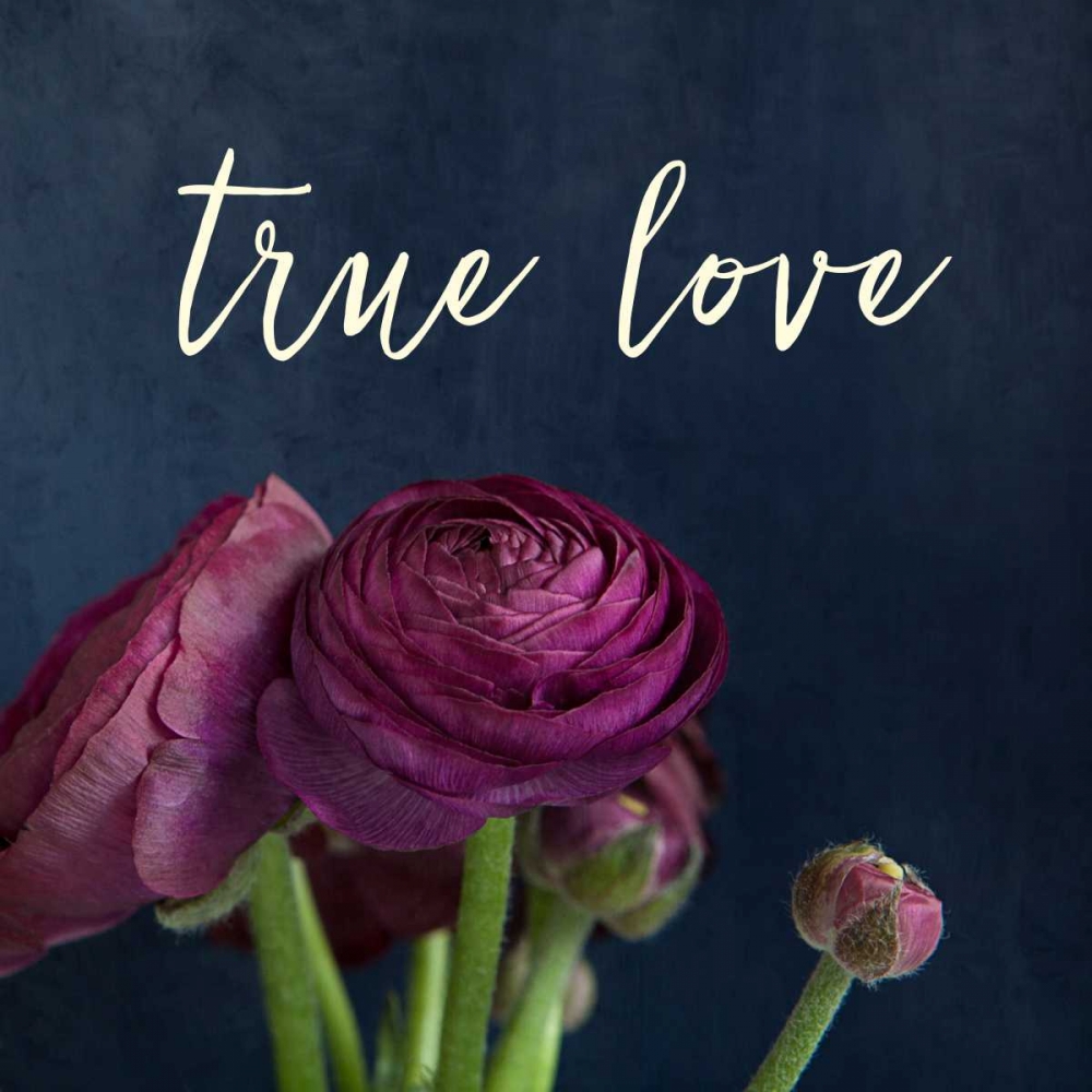 True Love art print by Susannah Tucker Photography for $57.95 CAD