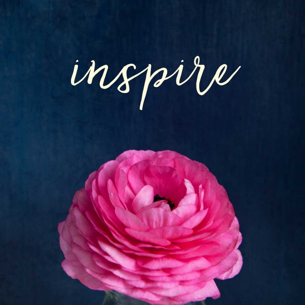 Inspire art print by Susannah Tucker Photography for $57.95 CAD